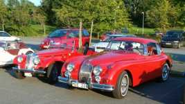 MG och Jaguar