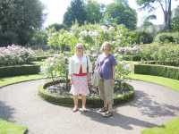 Inne i rosentr�dg�rden