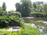 Floden Avon vid slottet