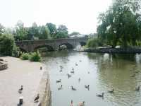 Floden Avon