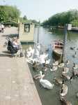 Floden Avon