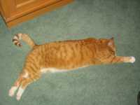 V�rldens s�aste!