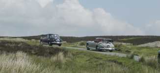 mot �dsliga vidder