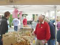 Lennart p� marknaden