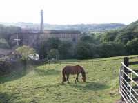 Fin vy �ver Airedale