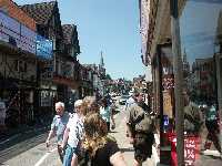 Promenad i Lyndhurst