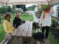 Fikapaus vid en pub i Llandridnod Wells