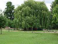 Park