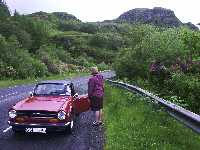 Berg kl�dda i Rhododendron