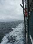 Frjan till Isle of Islay