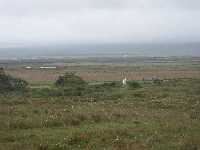 Vit h�st med Laggan Bay i bakgrunden