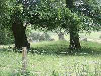 Croftmoraig Stone Circle