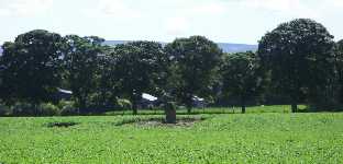 Gammal sten mitt i �kern