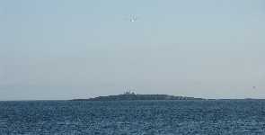 Farne Islands